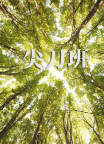 伊人久久艹